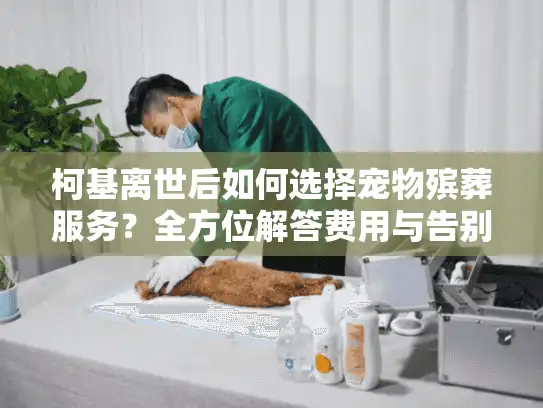 柯基离世后如何选择宠物殡葬服务?全方位解答费用与告别方式 柯基离世后如何选择宠物殡葬服务?全方位解答费用与告别方式