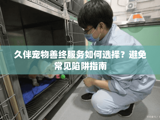 久伴宠物善终服务如何选择？避免常见陷阱指南
