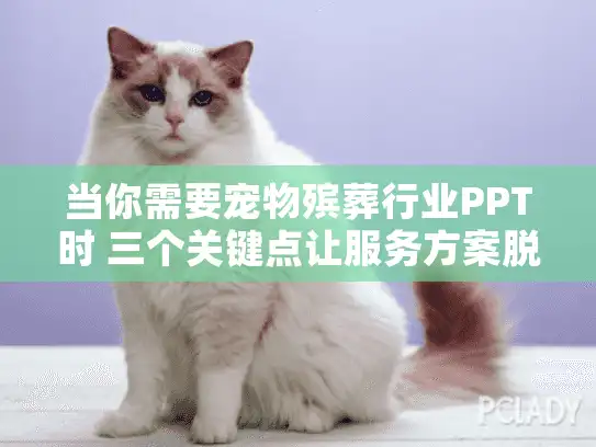 当你需要宠物殡葬行业PPT时 三个关键点让服务方案脱颖而出 当你需要宠物殡葬行业PPT时 三个关键点让服务方案脱颖而出