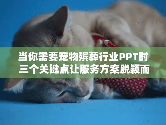 当你需要宠物殡葬行业PPT时 三个关键点让服务方案脱颖而出 当你需要宠物殡葬行业PPT时 三个关键点让服务方案脱颖而出