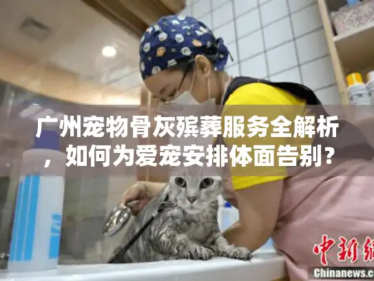 广州宠物骨灰殡葬服务全解析,如何为爱宠安排体面告别? 广州宠物骨灰殡葬服务全解析,如何为爱宠安排体面告别?