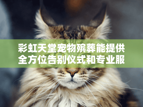 彩虹天堂宠物殡葬能提供全方位告别仪式和专业服务吗?