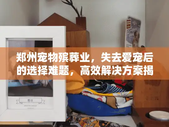 郑州宠物殡葬业，失去爱宠后的选择难题，高效解决方案揭晓