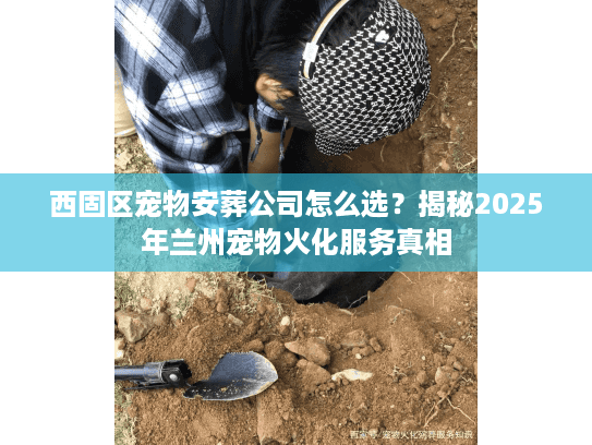西固区宠物安葬公司怎么选？揭秘2025年兰州宠物火化服务真相