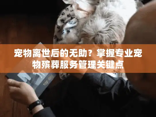 宠物离世后的无助?掌握专业宠物殡葬服务管理关键点 宠物离世后的无助?掌握专业宠物殡葬服务管理关键点