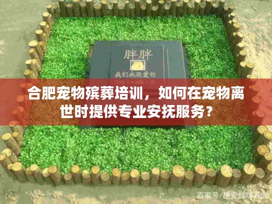 合肥宠物殡葬培训，如何在宠物离世时提供专业安抚服务？