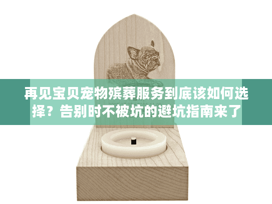 再见宝贝宠物殡葬服务到底该如何选择？告别时不被坑的避坑指南来了