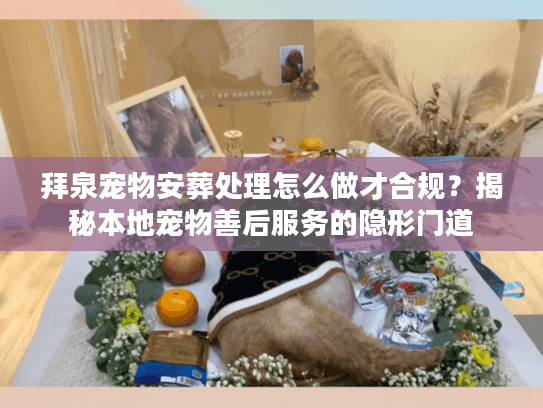 拜泉宠物安葬处理怎么做才合规?揭秘本地宠物善后服务的隐形门道 拜泉宠物安葬处理怎么做才合规?揭秘本地宠物善后服务的隐形门道