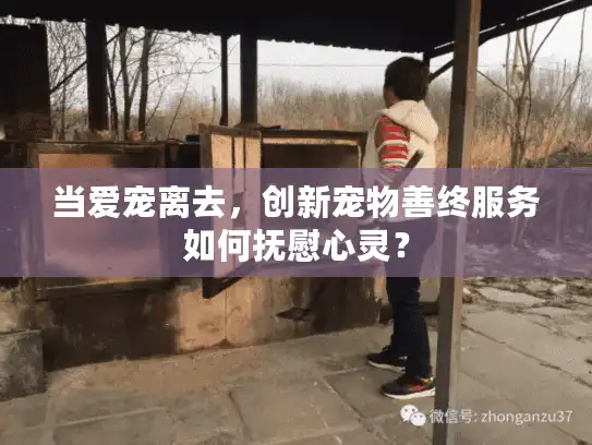 当爱宠离去,创新宠物善终服务如何抚慰心灵? 当爱宠离去,创新宠物善终服务如何抚慰心灵?