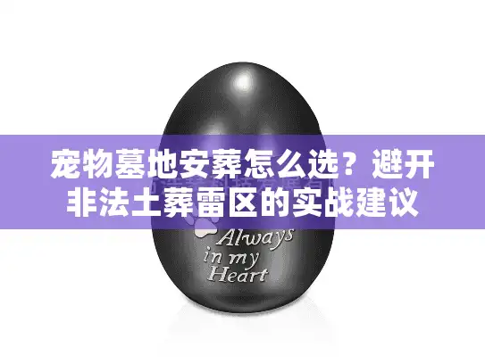 宠物墓地安葬怎么选？避开非法土葬雷区的实战建议