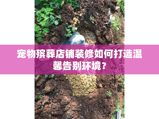 宠物殡葬店铺装修如何打造温馨告别环境？