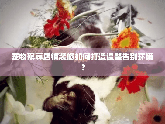 宠物殡葬店铺装修如何打造温馨告别环境？