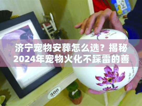 济宁宠物安葬怎么选?揭秘2024年宠物火化不踩雷的善后真相 济宁宠物安葬怎么选?揭秘2024年宠物火化不踩雷的善后真相