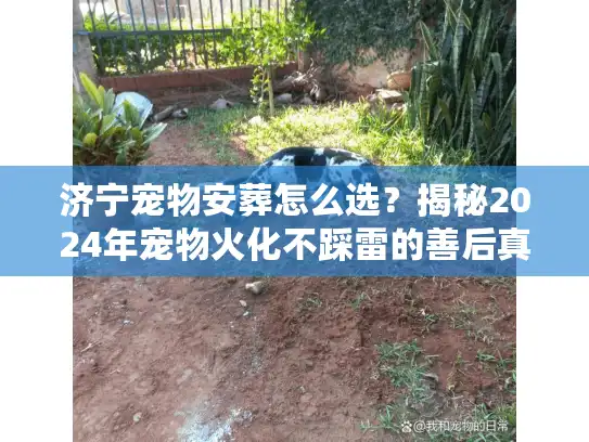 济宁宠物安葬怎么选?揭秘2024年宠物火化不踩雷的善后真相 济宁宠物安葬怎么选?揭秘2024年宠物火化不踩雷的善后真相