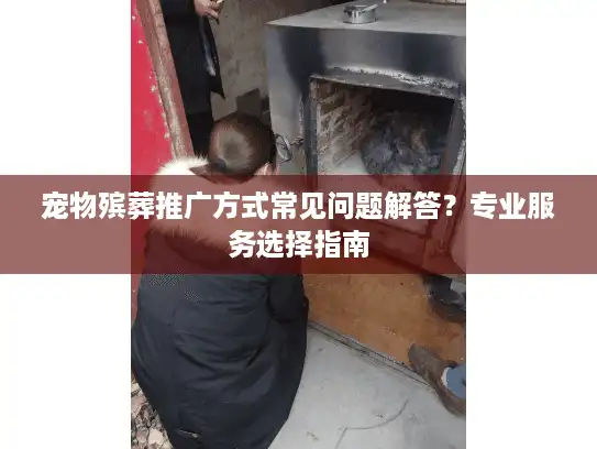 宠物殡葬推广方式常见问题解答？专业服务选择指南