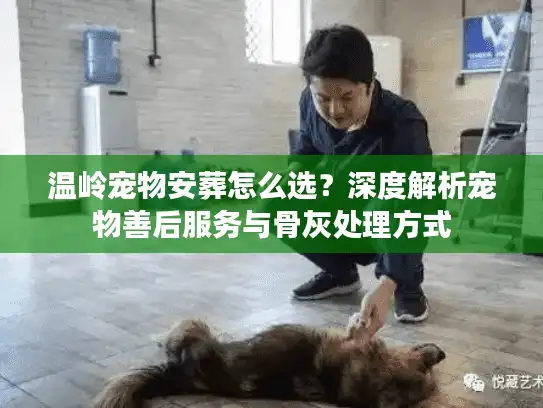 温岭宠物安葬怎么选？深度解析宠物善后服务与骨灰处理方式