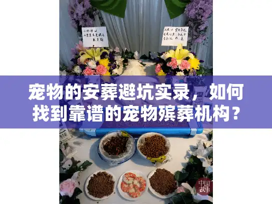 宠物的安葬避坑实录,如何找到靠谱的宠物殡葬机构? 宠物的安葬避坑实录,如何找到靠谱的宠物殡葬机构?