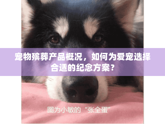 宠物殡葬产品概况,如何为爱宠选择合适的纪念方案? 宠物殡葬产品概况,如何为爱宠选择合适的纪念方案?