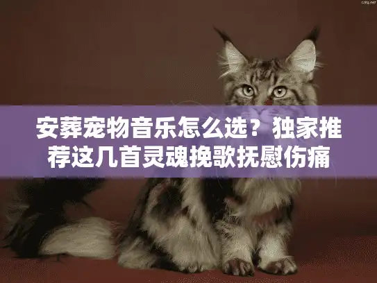 安葬宠物音乐怎么选？独家推荐这几首灵魂挽歌抚慰伤痛