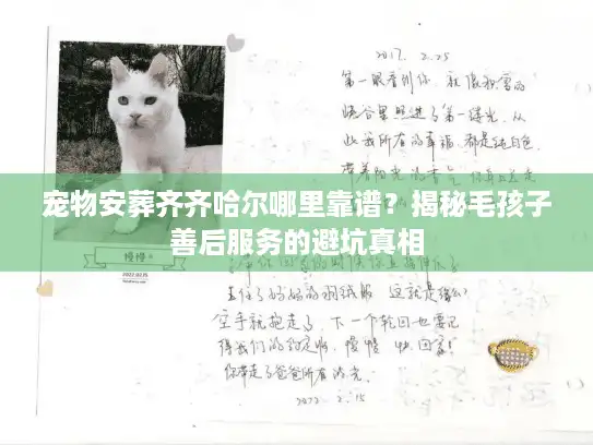 宠物安葬齐齐哈尔哪里靠谱？揭秘毛孩子善后服务的避坑真相