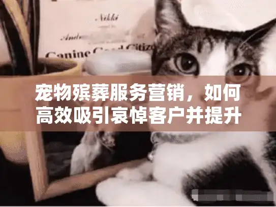 宠物殡葬服务营销，如何高效吸引哀悼客户并提升业务增长？