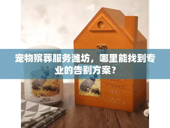 宠物殡葬服务潍坊，哪里能找到专业的告别方案？