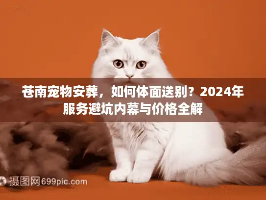 苍南宠物安葬，如何体面送别？2024年服务避坑内幕与价格全解