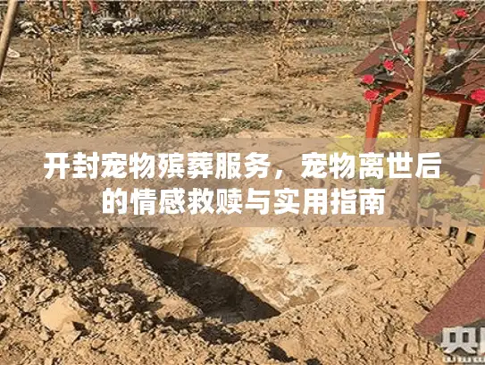 开封宠物殡葬服务，宠物离世后的情感救赎与实用指南