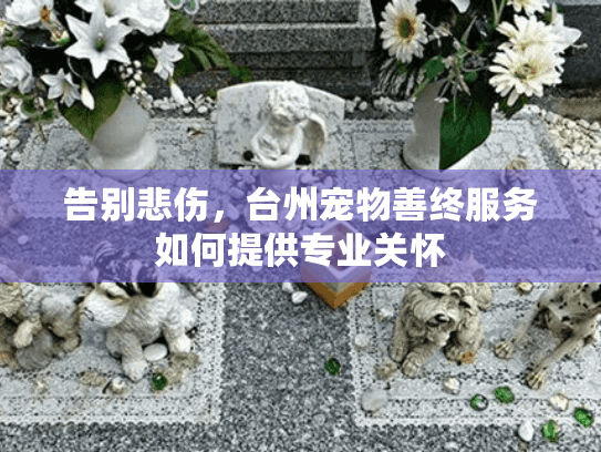告别悲伤，台州宠物善终服务如何提供专业关怀