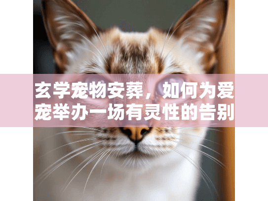 玄学宠物安葬，如何为爱宠举办一场有灵性的告别？