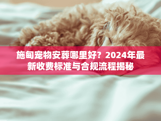 施甸宠物安葬哪里好？2024年最新收费标准与合规流程揭秘