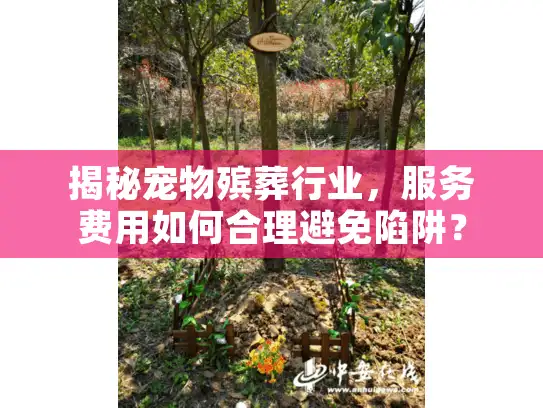 揭秘宠物殡葬行业，服务费用如何合理避免陷阱？