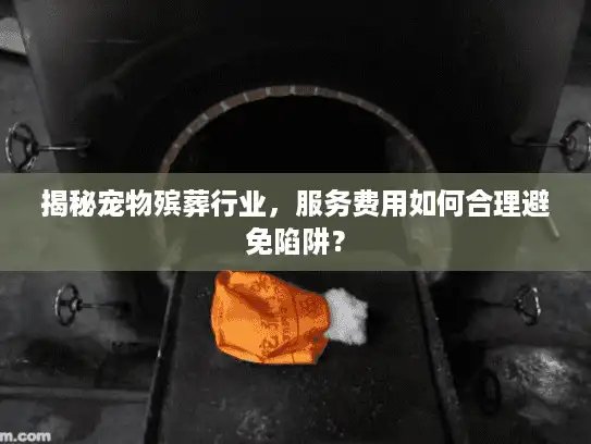 揭秘宠物殡葬行业，服务费用如何合理避免陷阱？