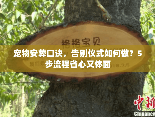 宠物安葬口诀，告别仪式如何做？5步流程省心又体面