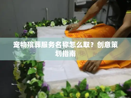 宠物殡葬服务名称怎么取？创意策划指南