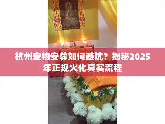 杭州宠物安葬如何避坑？揭秘2025年正规火化真实流程
