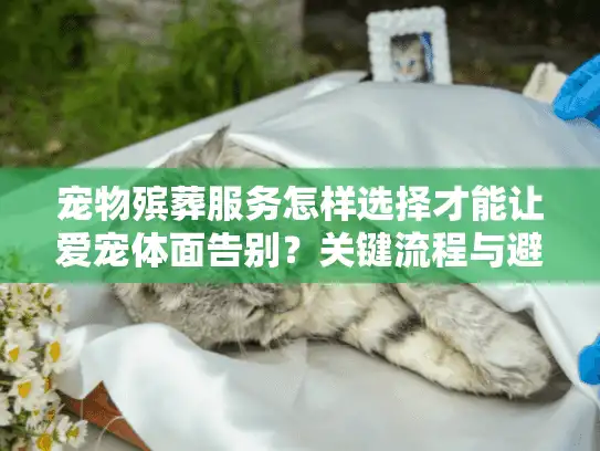宠物殡葬服务怎样选择才能让爱宠体面告别?关键流程与避坑指南 宠物殡葬服务怎样选择才能让爱宠体面告别?关键流程与避坑指南