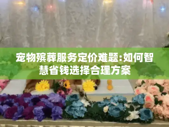 宠物殡葬服务定价难题:如何智慧省钱选择合理方案