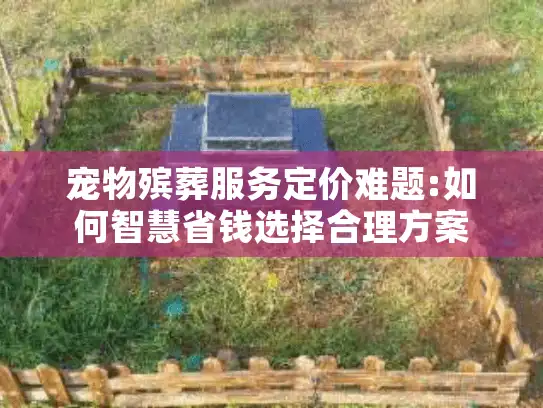 宠物殡葬服务定价难题:如何智慧省钱选择合理方案