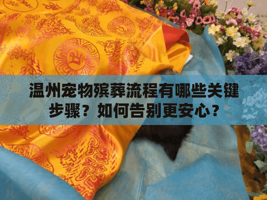 温州宠物殡葬流程有哪些关键步骤？如何告别更安心？