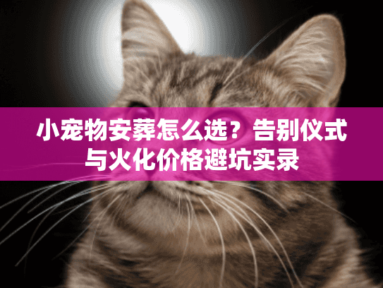 小宠物安葬怎么选？告别仪式与火化价格避坑实录