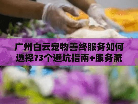 广州白云宠物善终服务如何选择?3个避坑指南+服务流程全解析 广州白云宠物善终服务如何选择?3个避坑指南+服务流程全解析