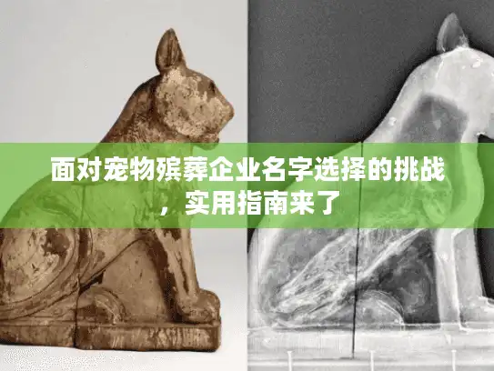 面对宠物殡葬企业名字选择的挑战，实用指南来了