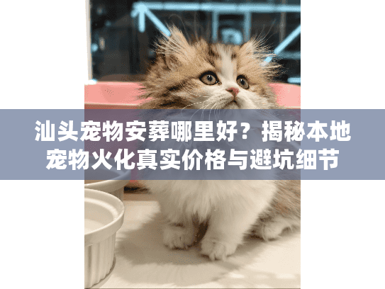 汕头宠物安葬哪里好？揭秘本地宠物火化真实价格与避坑细节