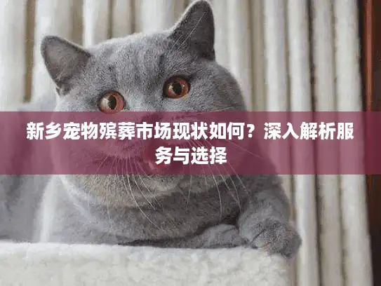 新乡宠物殡葬市场现状如何？深入解析服务与选择