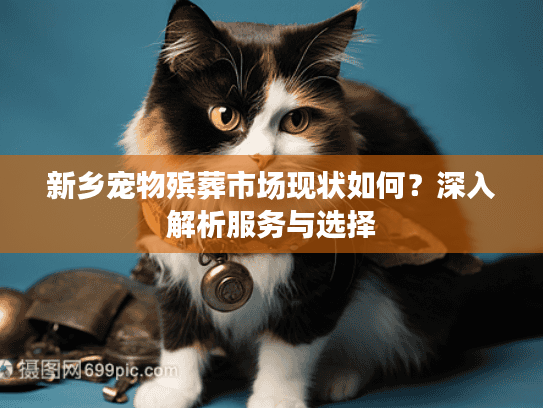 新乡宠物殡葬市场现状如何？深入解析服务与选择