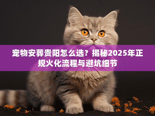 宠物安葬贵阳怎么选？揭秘2025年正规火化流程与避坑细节