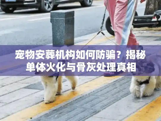 宠物安葬机构如何防骗?揭秘单体火化与骨灰处理真相 宠物安葬机构如何防骗?揭秘单体火化与骨灰处理真相