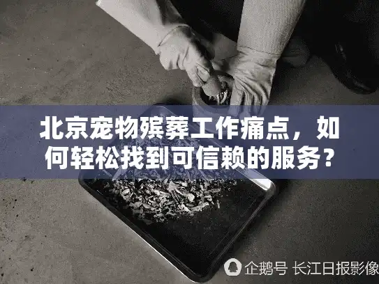 北京宠物殡葬工作痛点,如何轻松找到可信赖的服务? 北京宠物殡葬工作痛点,如何轻松找到可信赖的服务?