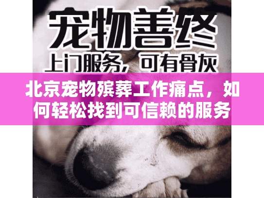 北京宠物殡葬工作痛点,如何轻松找到可信赖的服务? 北京宠物殡葬工作痛点,如何轻松找到可信赖的服务?
